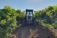 CLAAS: В КРАСНОДАРСКОМ КРАЕ ВПЕРВЫЕ ПРОДЕМОНСТРИРОВАНЫ РАБОЧИЕ ВОЗМОЖНОСТИ ТРАКТОРА NEXOS